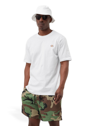 T-paita Dickies MAPLETON TEE Valkoinen | 194903389338