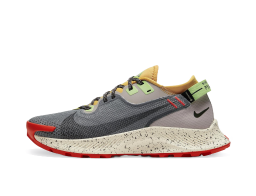 Juoksu Nike Pegasus Trail 2 GTX W Ruskea | cu2018-002