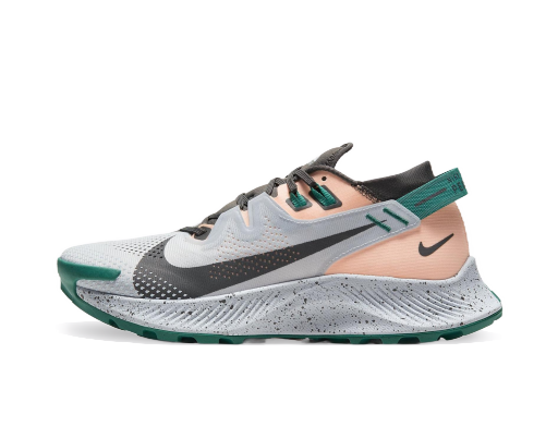 Juoksu Nike Pegasus Trail 2 W Harmaa | ck4309-004