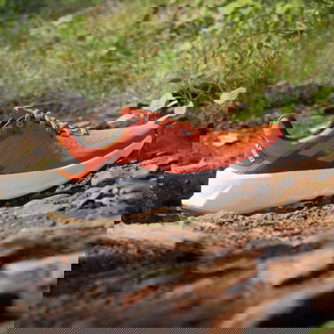 Tennarit ja kengät adidas Performance adidas TERREX Punainen | IE8455, 3