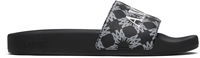 MA Quad Canvas Slides