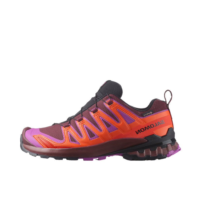 Tennarit ja kengät Salomon Salomon XA PRO 3D V9 GTX Violetti | l47961900