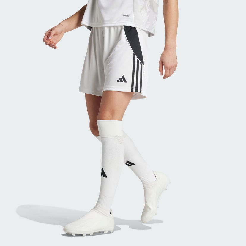 Shortsit adidas Performance Tiro 24 Valkoinen | IR9371