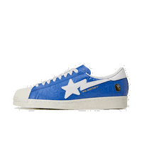 BAPE x SSTR V "Blue"