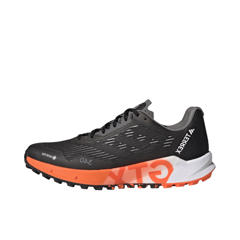 Outdoor adidas Performance TERREX AGRAVIC FLOW 2 GTX Musta | hr1110