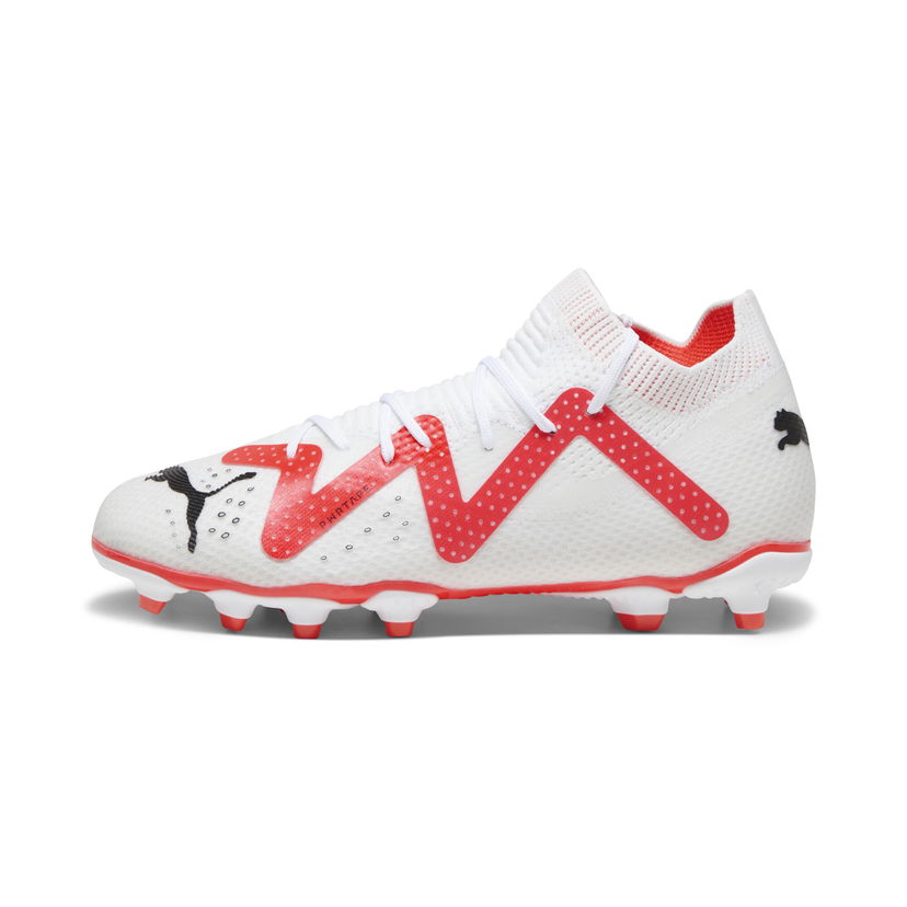 Tennarit ja kengät Puma Football Boots FUTURE PRO FG/AG Monivärinen | 107383_01