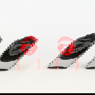 Tennarit ja kengät Nike Air Max 90 Prm Harmaa | HM9432-001, 4