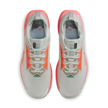 Tennarit ja kengät Nike Pegasus Trail 5 GORE-TEX Harmaa | FQ0908-004, 2