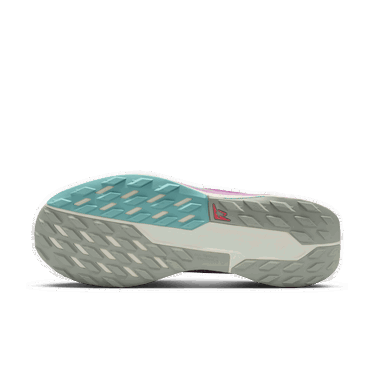 Tennarit ja kengät Nike Pegasus Trail 5 GORE-TEX Vaaleanpunainen | FQ0908-600, 2