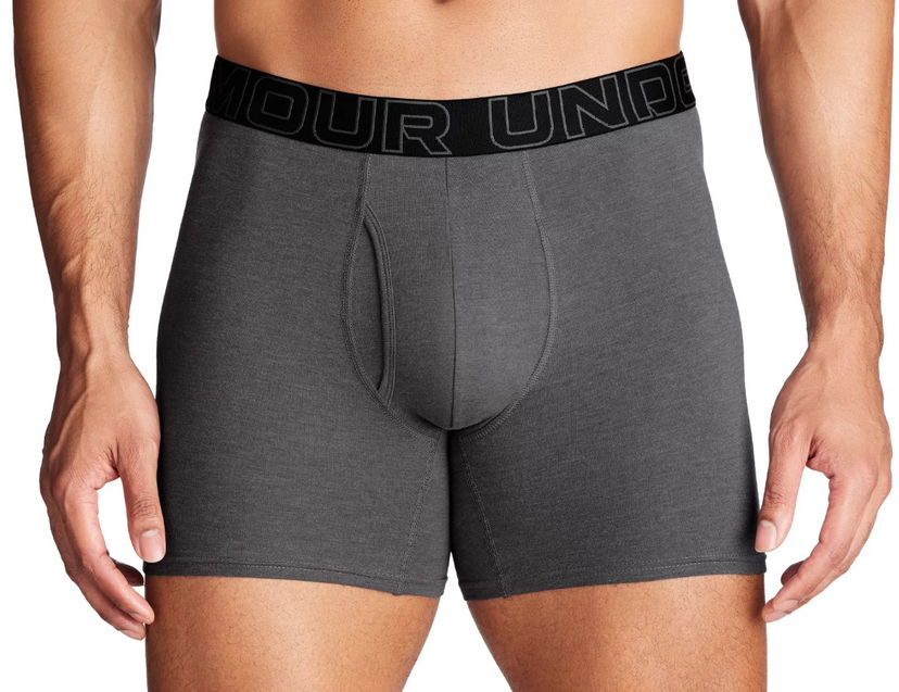 Nyrkkeilijät Under Armour Perf Cotton 6in-GRY Harmaa | 1383889-025