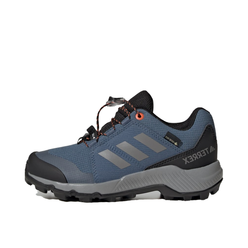 Tennarit ja kengät adidas Performance Terrex GORE-TEX Hiking Shoes Sininen | JI1358