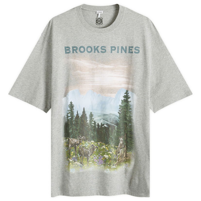 T-paita Loewe Mountain Graphic T-Shirt Harmaa | H526Y22XBB-1440