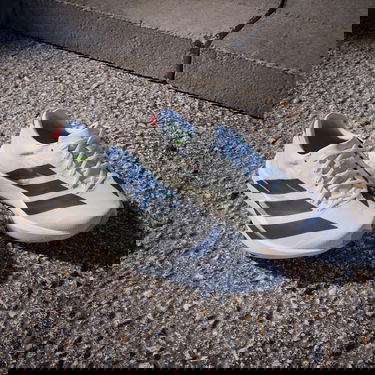 Tennarit ja kengät adidas Performance ADIZERO ADIOS 9 Valkoinen | if9418, 7