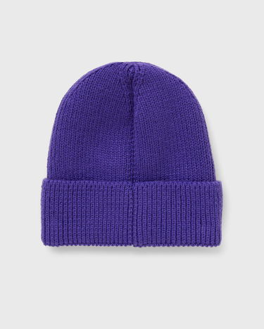 Pipo The North Face Logo Box Cuffed Beanie Violetti | NF0A8CHENL41, 3