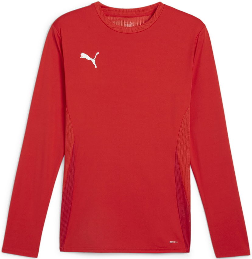 Jersey Puma teamGOAL LS Jersey Punainen | 705750-01