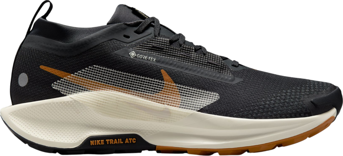 Tennarit ja kengät Nike Pegasus Trail 5 GORE-TEX Musta | fq0908-007, 0