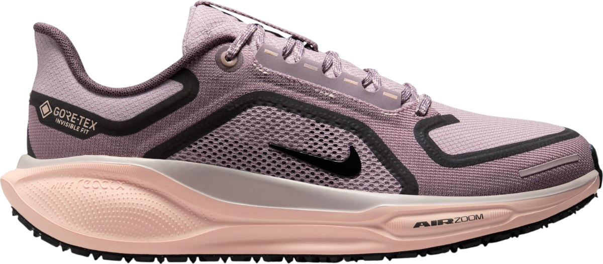 Tennarit ja kengät Nike Pegasus 41 GORE-TEX Violetti | fq1357-004, 0