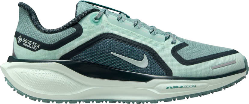 Tennarit ja kengät Nike Pegasus 41 GORE-TEX Turkoosi | fq1357-003