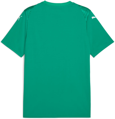 Jersey Puma Puma teamULTIMATE Jersey Vihreä | 706280-05, 1