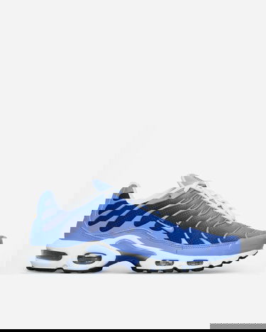 Tennarit ja kengät Nike Air Max Plus Royal Pulse Sininen | DM0032-403, 1
