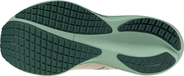 Tennarit ja kengät Mizuno Mizuno Wave Rider 29 Beige | j1gc2503-09, 5