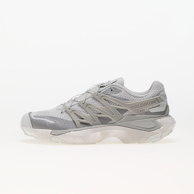 Tennarit ja kengät Salomon XT Pu.Re Gray Violet/ Flint Gray/ Sharkskin Harmaa | L47604700