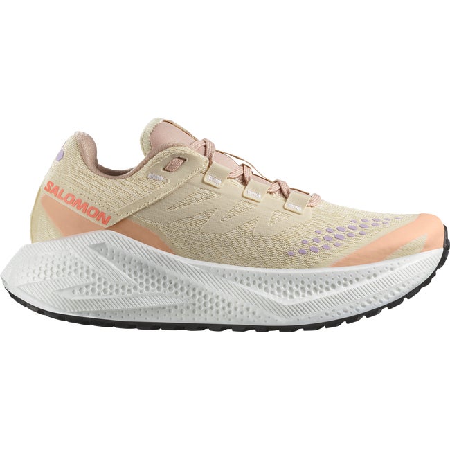 Tennarit ja kengät Salomon Aero Glide 3 Gravel Beige | L47812500