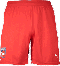 1. FC Heidenheim Home Shorts 2025/26 by Puma