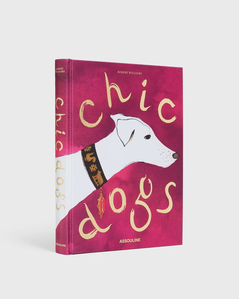 Kirja ja lehti ASSOULINE Chic Dogs Book by Robert Williams Vaaleanpunainen | 9781649804419