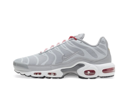 Tennarit ja kengät Nike Air Max Plus Harmaa | DD7112-001