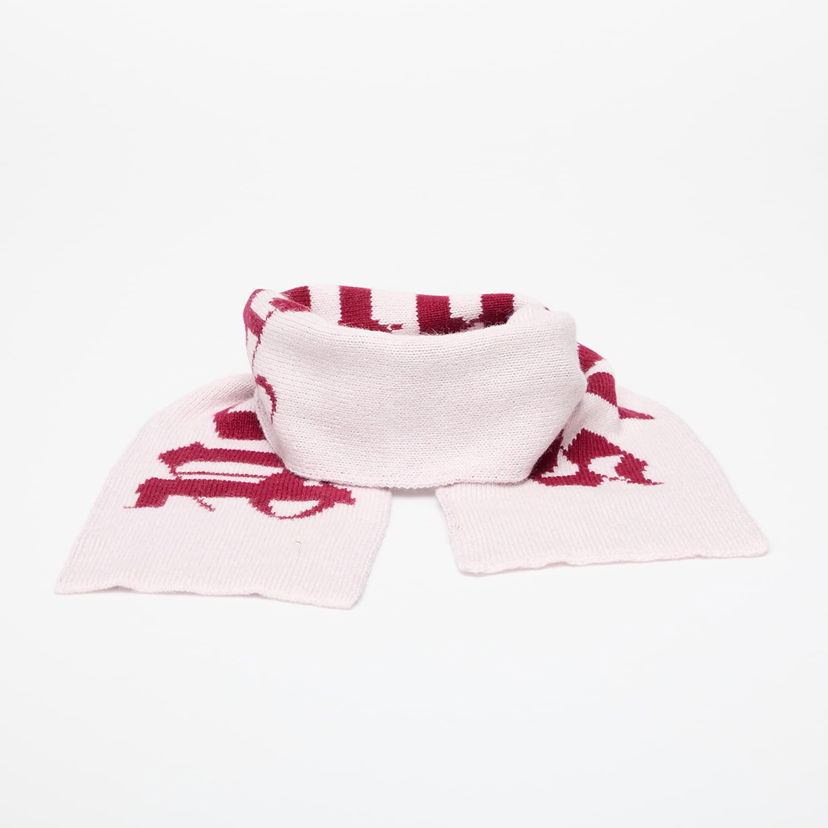 Huivi Palm Angels Palm Angels Kids Logo Knit Scarf Vaaleanpunainen | PGMA008F25KNI0013B27