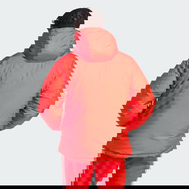 Takki adidas Performance FC Bayern DNA Down Jacket Punainen | HY3286, 3