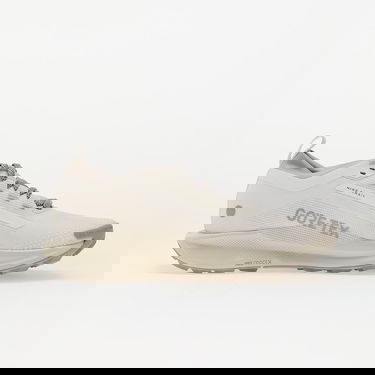 Tennarit ja kengät Nike Pegasus Trail 5 Gore-Tex Beige | HQ7494-100, 2