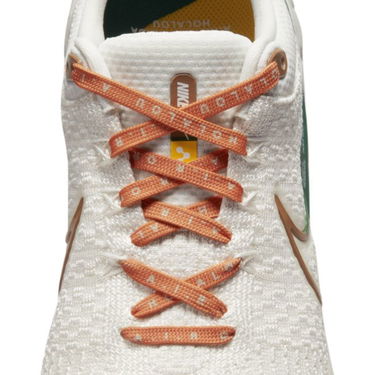 Tennarit ja kengät Nike Infinity Run 3 A.I.R. x Hola Lou Beige | DO9496-001, 3