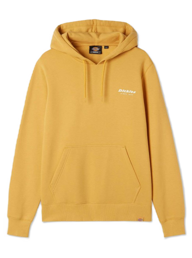 Huppari Dickies Camden Box Hoodie Keltainen | DK0A4XYSC96