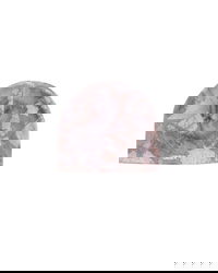 Obey Bold Camo Beanie