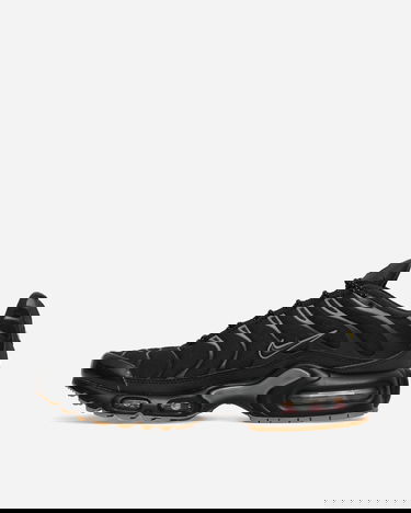 Tennarit ja kengät Nike Air Max Plus Sneakers "Black / Smoke Grey" Musta | FV0385-001, 2