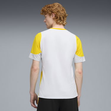Jersey Puma Borussia Dortmund Training Jersey Harmaa | 781665_18, 2