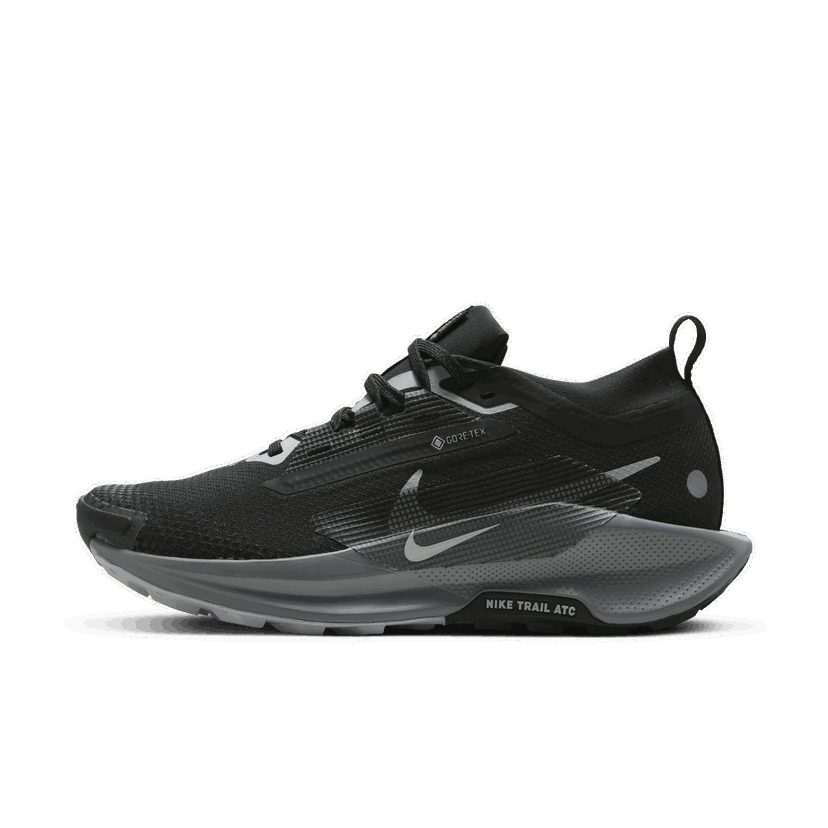Juoksu Nike Pegasus Trail 5 GORE-TEX Musta | FQ0912-001