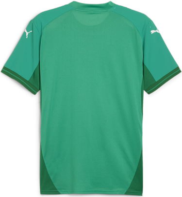 Jersey Puma teamFINAL Jersey Vihreä | 705737-05, 1
