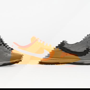 Tennarit ja kengät Nike Dunk Low Gtx Ruskea | HQ2053-700, 2