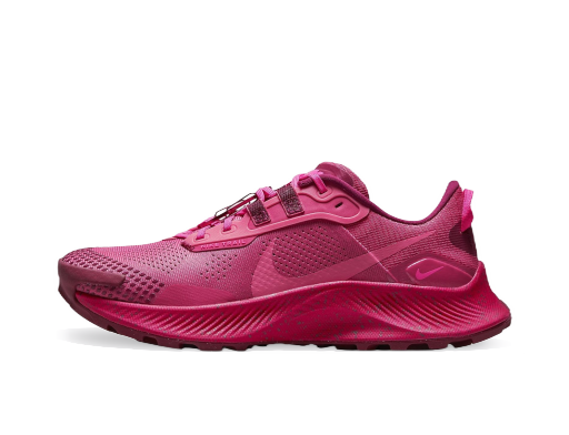 Juoksu Nike Pegasus Trail 3 W Burgundia | dm9468-600