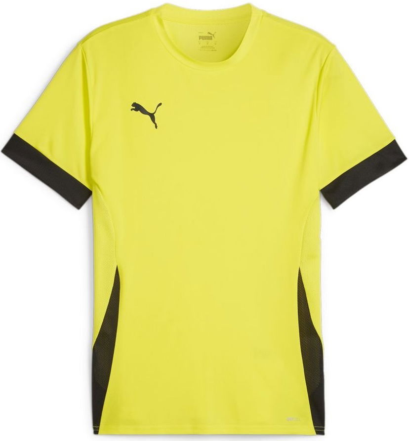 Jersey Puma teamGOAL Matchday Keltainen | 705747-23