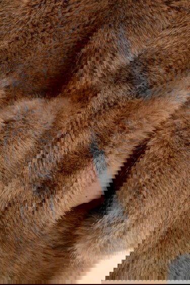 Takit STAND STUDIO Halle Faux Fur Coat Ruskea | 62267.9416, 5