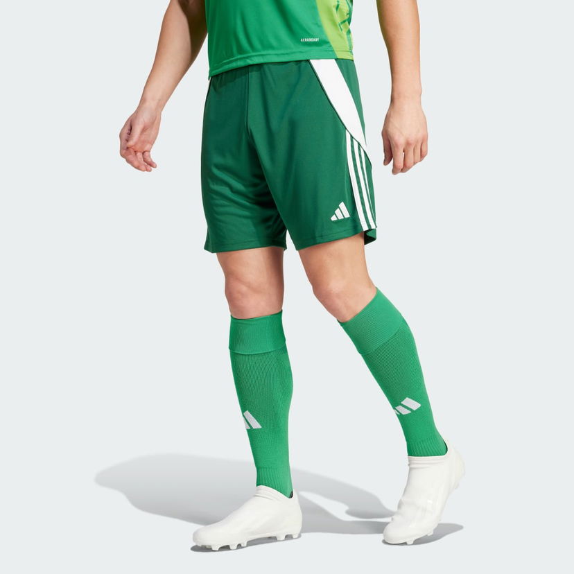 Shortsit adidas Performance Tiro 24 Vihreä | IS1410