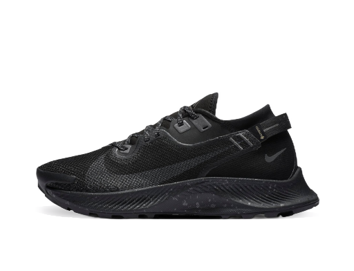 Juoksu Nike Pegasus Trail 2 GTX W Musta | cu2018-001