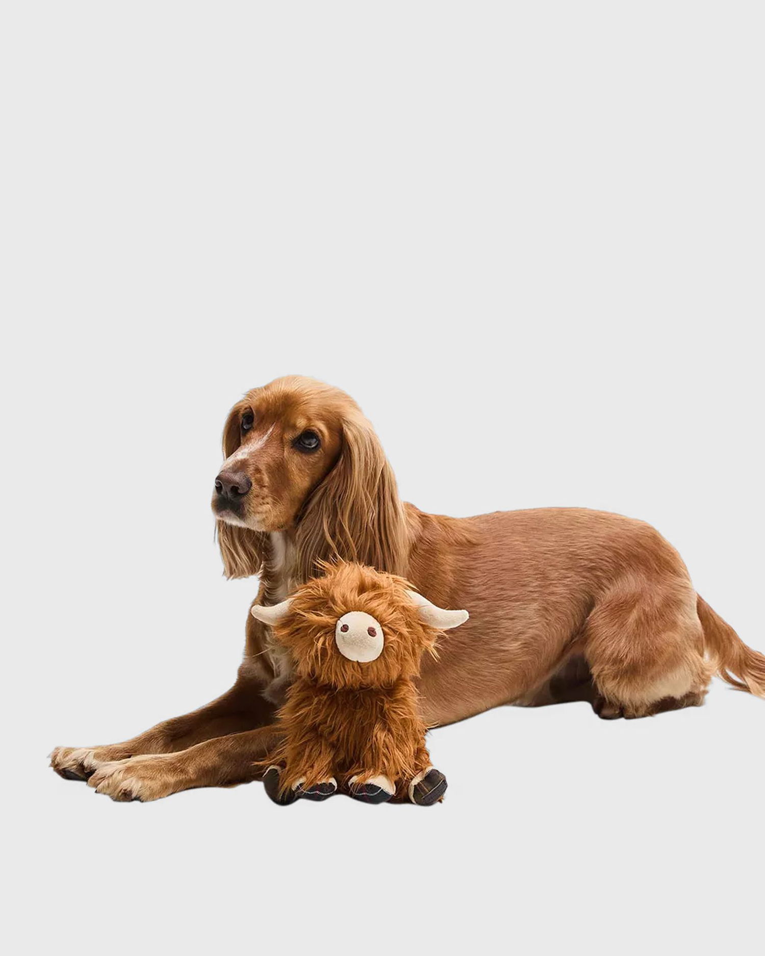 Peli Barbour Highland Cow Plush Toy Ruskea | DAC0114BR11, 1