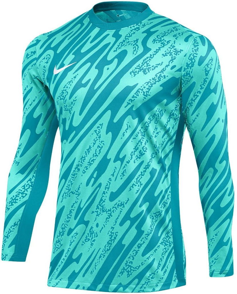 Jersey Nike M NK DF GARDIEN V GK JSY LS Turkoosi | fd7474-354