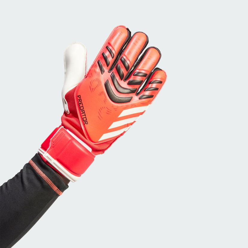 Käsineet adidas Performance Predator Match Goalkeeper Gloves Punainen | JH3801