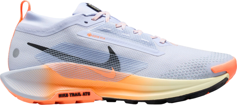 Tennarit ja kengät Nike Pegasus Trail 5 GORE-TEX Monivärinen | fq0908-011
